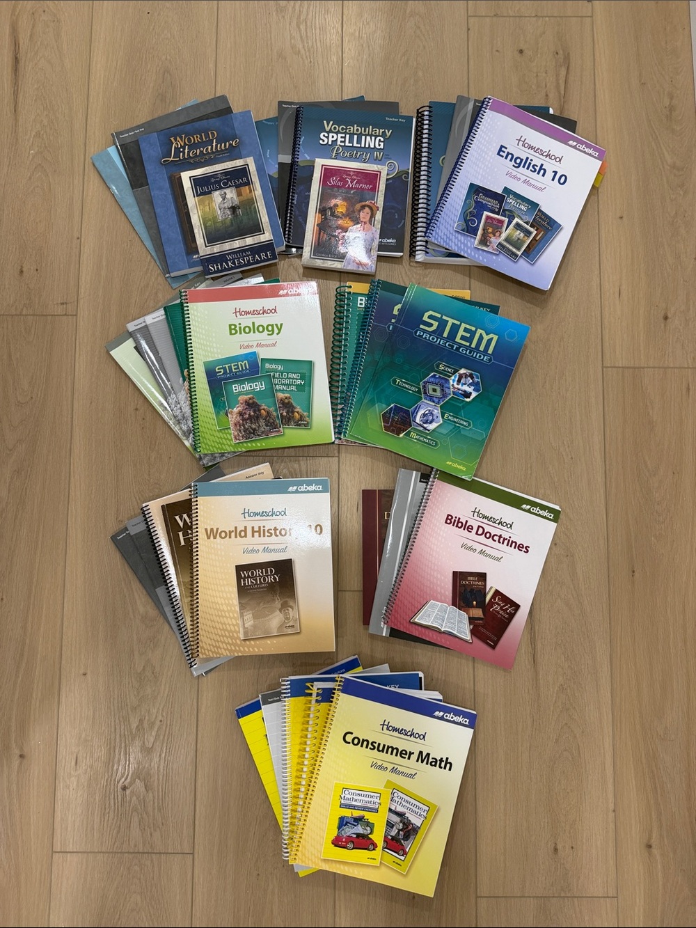 Abeka Grade 10 Homeschool Curriculum - English, ConsumerMath, Biology, History